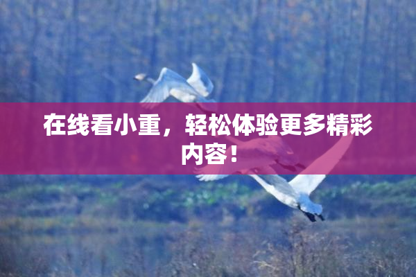 在线看小重，轻松体验更多精彩内容！