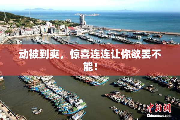 动被到爽，惊喜连连让你欲罢不能！