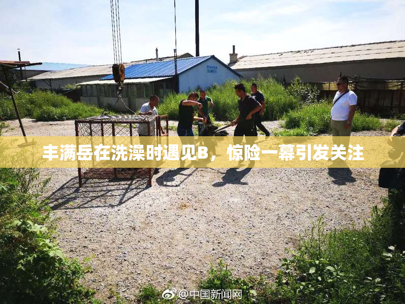 丰满岳在洗澡时遇见B，惊险一幕引发关注