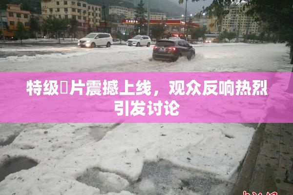 特级婬片震撼上线，观众反响热烈引发讨论