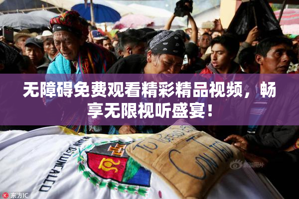 无障碍免费观看精彩精品视频，畅享无限视听盛宴！
