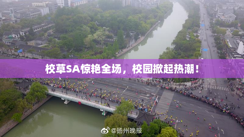 校草SA惊艳全场，校园掀起热潮！