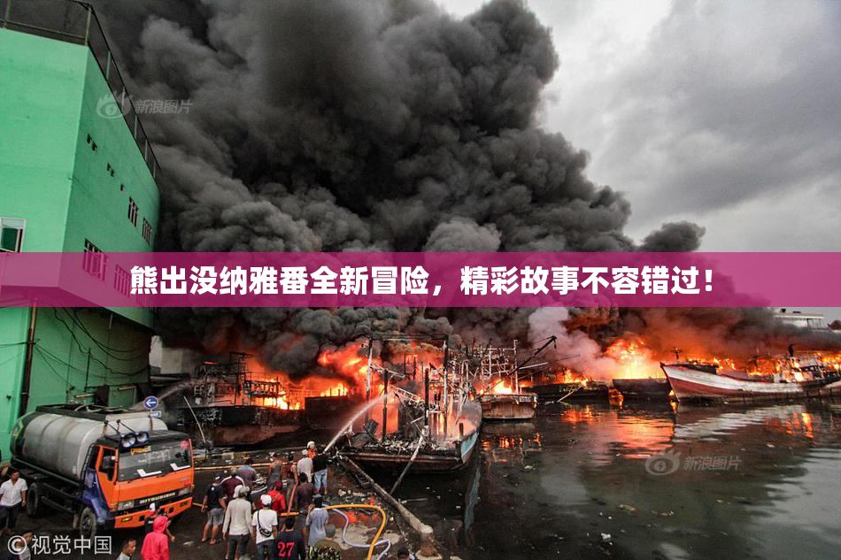 熊出没纳雅番全新冒险，精彩故事不容错过！