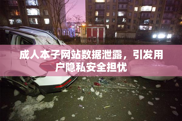 成人本子网站数据泄露，引发用户隐私安全担忧