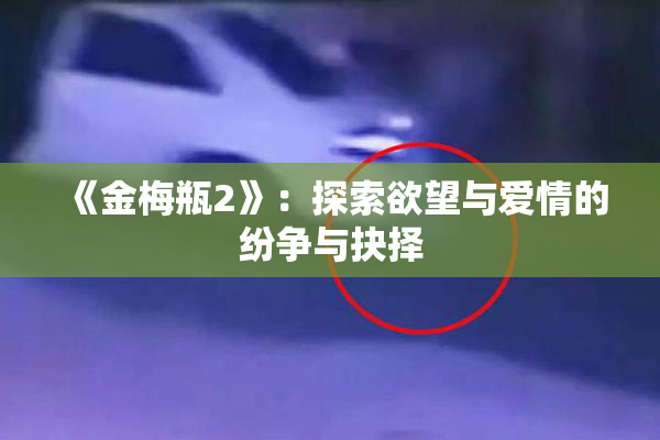 《金梅瓶2》：探索欲望与爱情的纷争与抉择