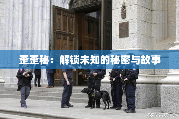 歪歪秘：解锁未知的秘密与故事