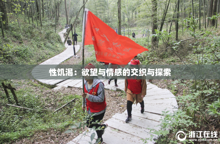 性饥渴：欲望与情感的交织与探索