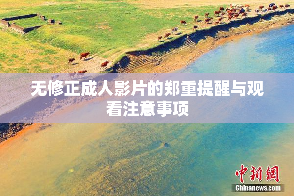 无修正成人影片的郑重提醒与观看注意事项