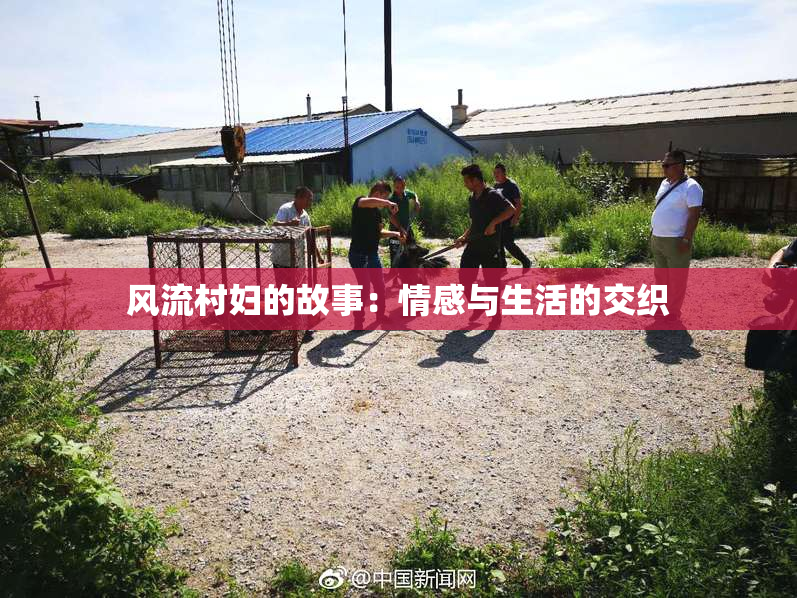 风流村妇的故事：情感与生活的交织