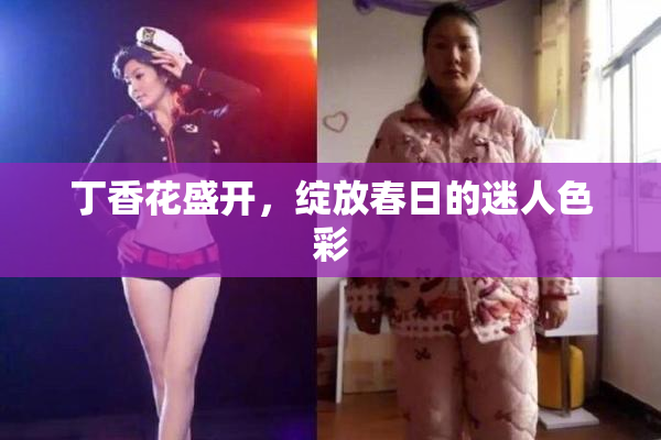 丁香花盛开，绽放春日的迷人色彩