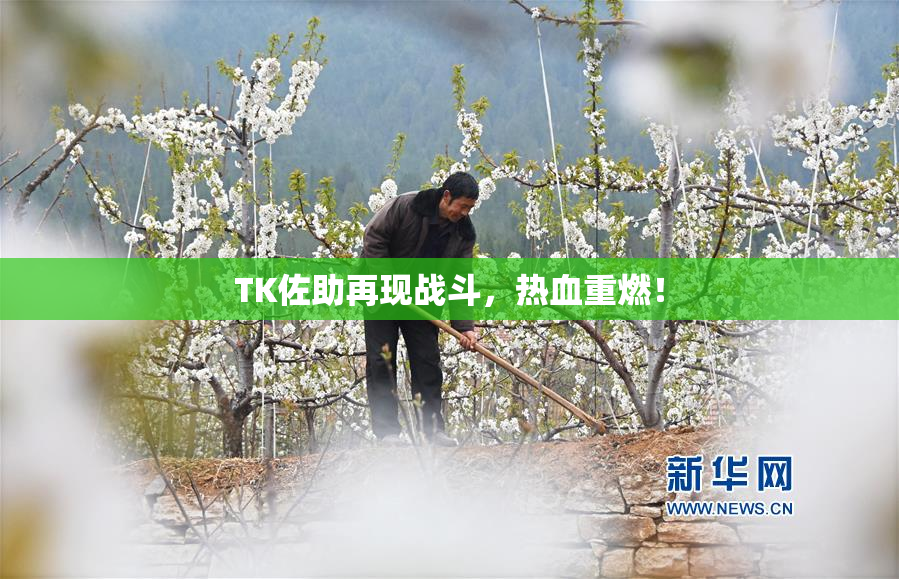 TK佐助再现战斗，热血重燃！