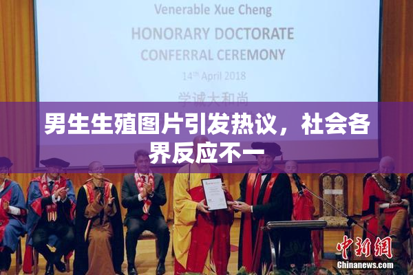 男生生殖图片引发热议，社会各界反应不一
