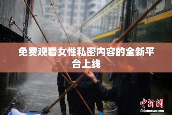 免费观看女性私密内容的全新平台上线