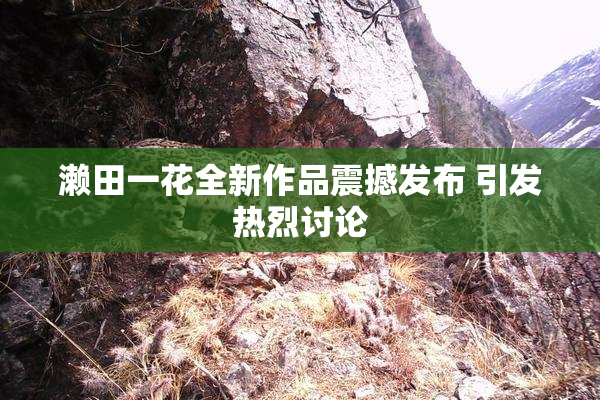 濑田一花全新作品震撼发布 引发热烈讨论