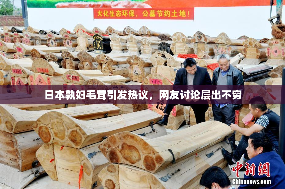 日本孰妇毛茸引发热议，网友讨论层出不穷