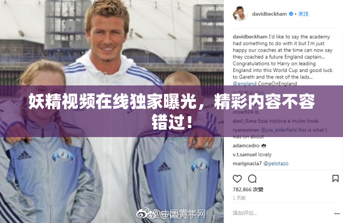 妖精视频在线独家曝光，精彩内容不容错过！