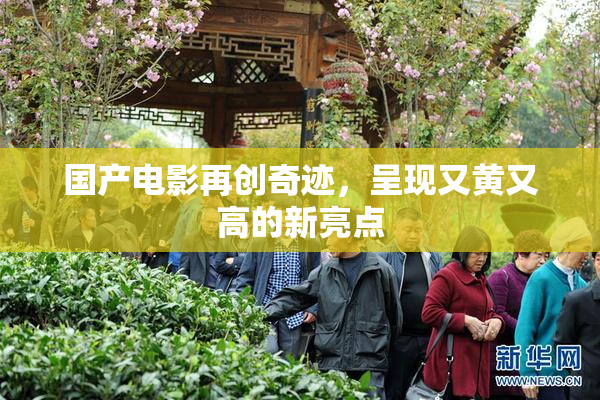 国产电影再创奇迹，呈现又黄又高的新亮点