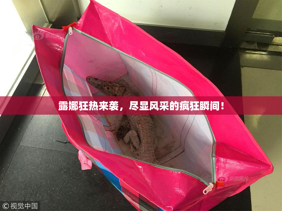 露娜狂热来袭，尽显风采的疯狂瞬间！