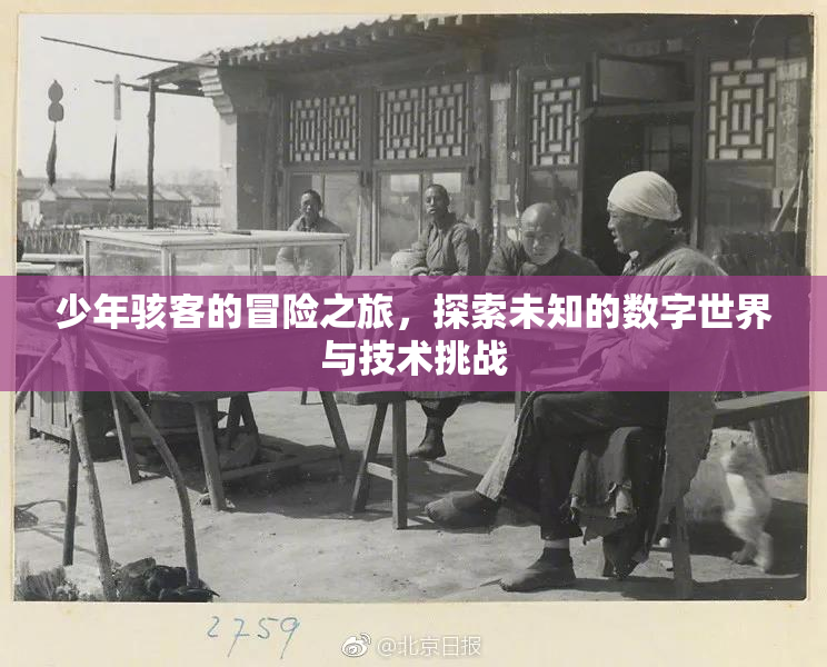 少年骇客的冒险之旅，探索未知的数字世界与技术挑战
