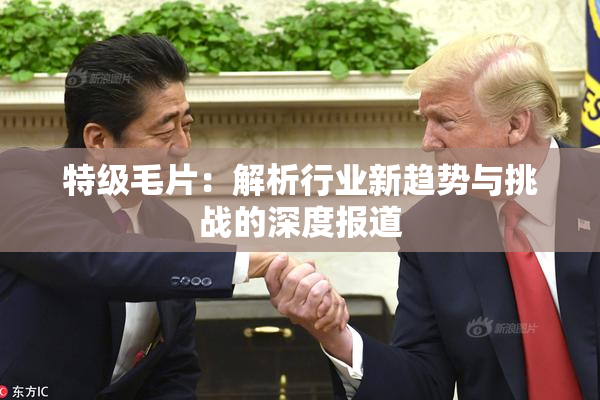 特级毛片：解析行业新趋势与挑战的深度报道