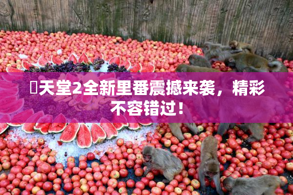 妺天堂2全新里番震撼来袭，精彩不容错过！