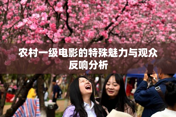 农村一级电影的特殊魅力与观众反响分析
