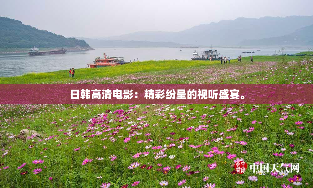 日韩高清电影：精彩纷呈的视听盛宴。