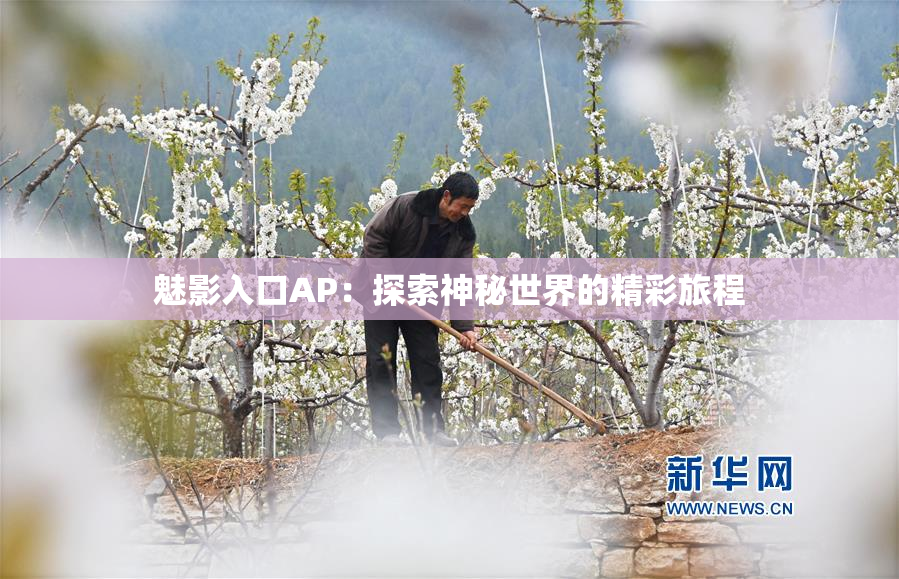 魅影入口AP：探索神秘世界的精彩旅程