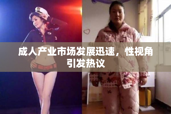 成人产业市场发展迅速，性视角引发热议