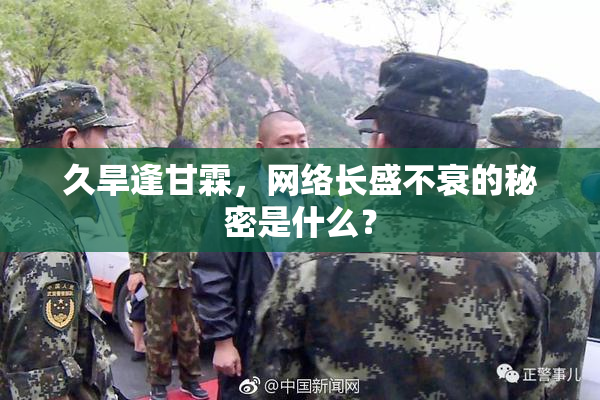 久旱逢甘霖，网络长盛不衰的秘密是什么？