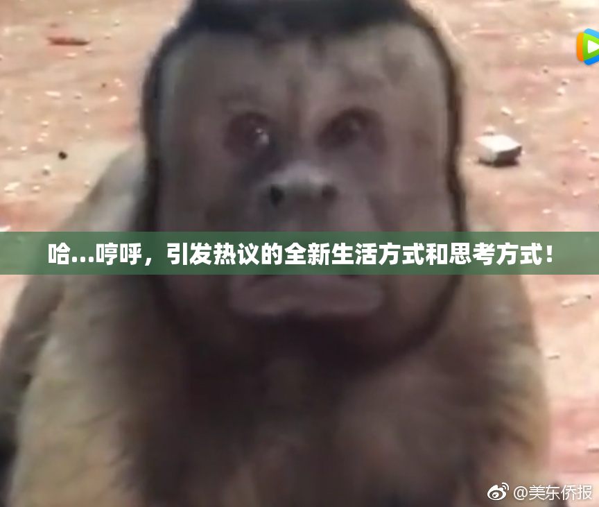 哈…哼呼，引发热议的全新生活方式和思考方式！