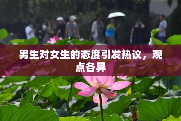 男生对女生的态度引发热议，观点各异