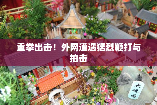 重拳出击！外网遭遇猛烈鞭打与拍击