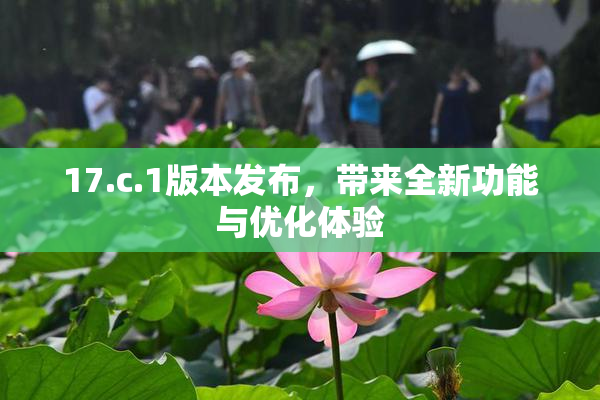 17.c.1版本发布，带来全新功能与优化体验