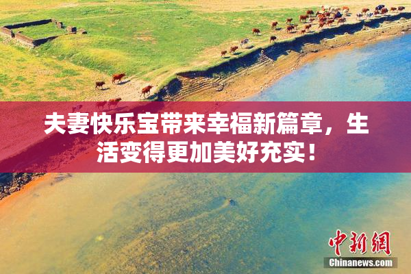 夫妻快乐宝带来幸福新篇章，生活变得更加美好充实！