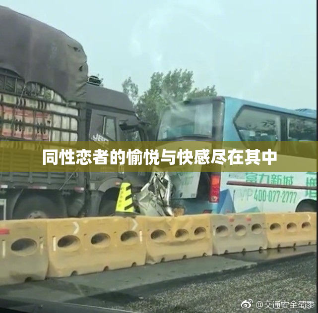 同性恋者的愉悦与快感尽在其中