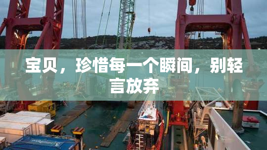 宝贝，珍惜每一个瞬间，别轻言放弃