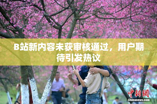 B站新内容未获审核通过，用户期待引发热议