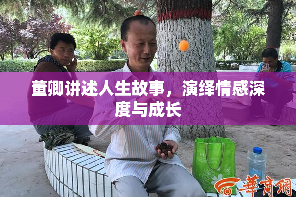 董卿讲述人生故事，演绎情感深度与成长