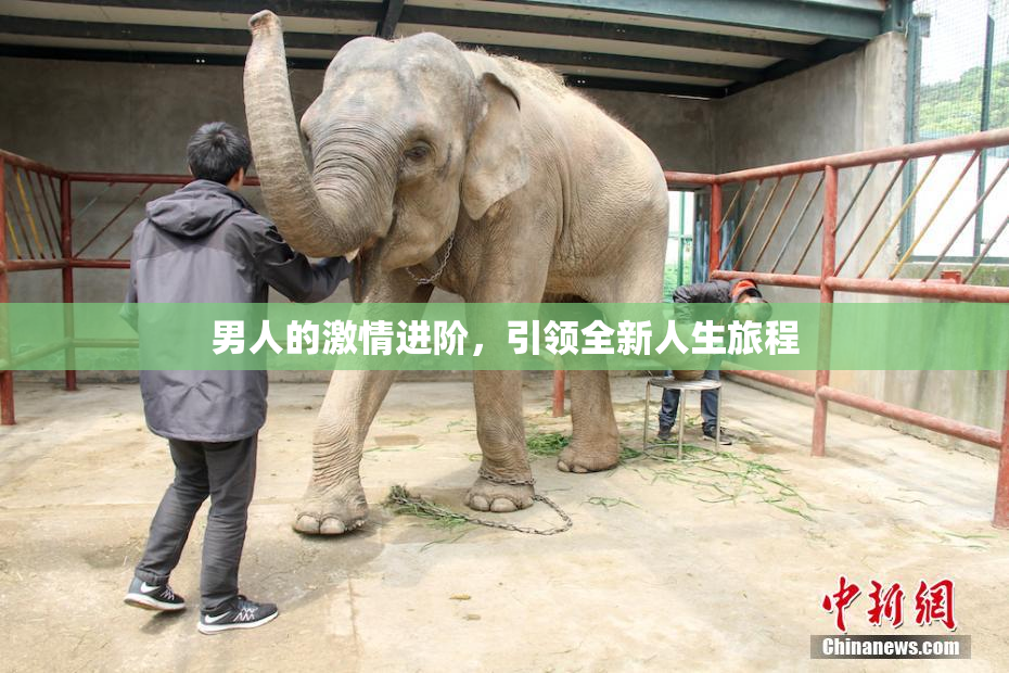 男人的激情进阶，引领全新人生旅程