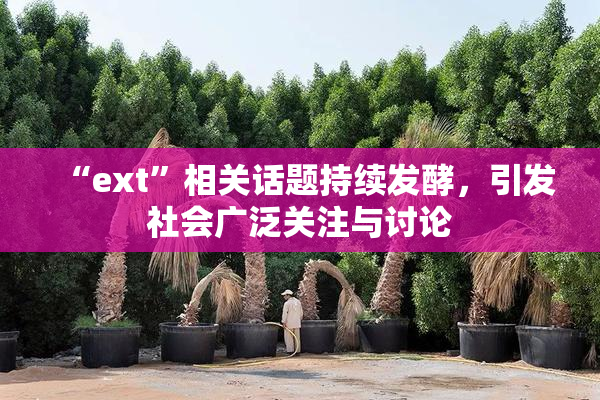 “ext”相关话题持续发酵，引发社会广泛关注与讨论