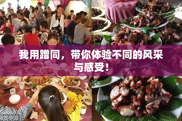 我用蹭同，带你体验不同的风采与感受！