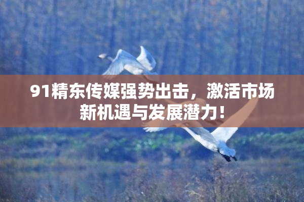 91精东传媒强势出击，激活市场新机遇与发展潜力！