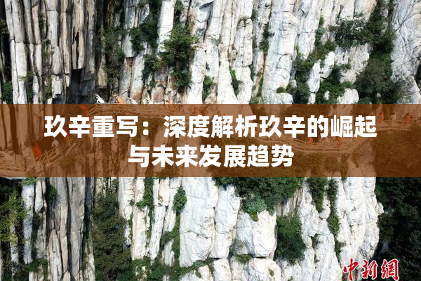 玖辛重写：深度解析玖辛的崛起与未来发展趋势