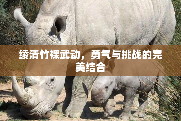 绫清竹裸武动，勇气与挑战的完美结合