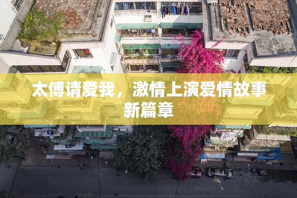 太傅请爱我，激情上演爱情故事新篇章
