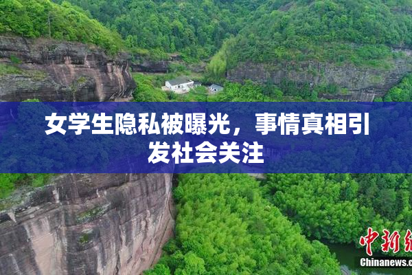 女学生隐私被曝光，事情真相引发社会关注