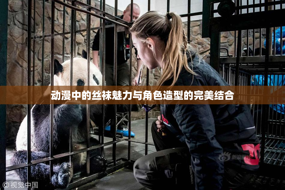 动漫中的丝袜魅力与角色造型的完美结合