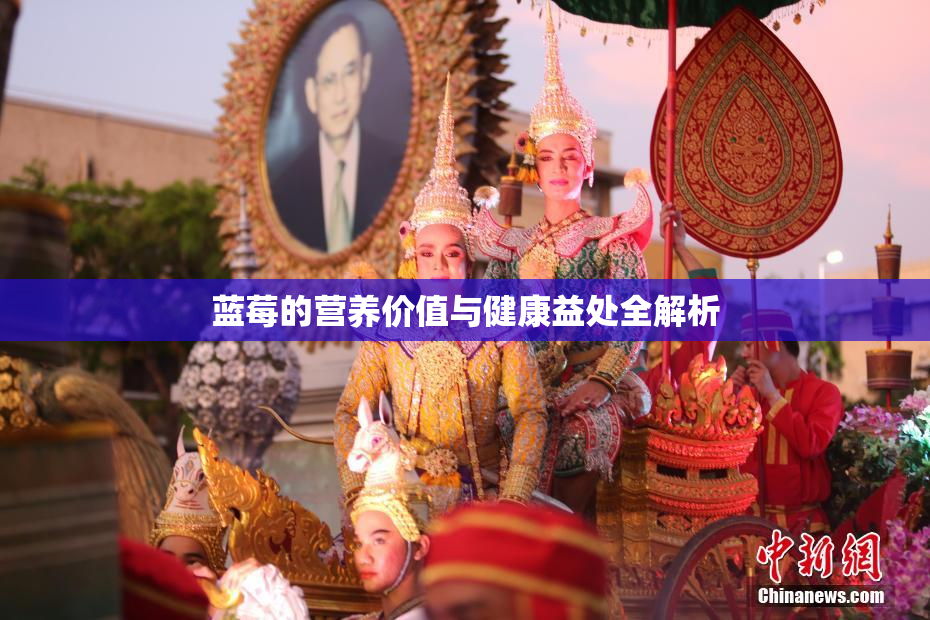 蓝莓的营养价值与健康益处全解析