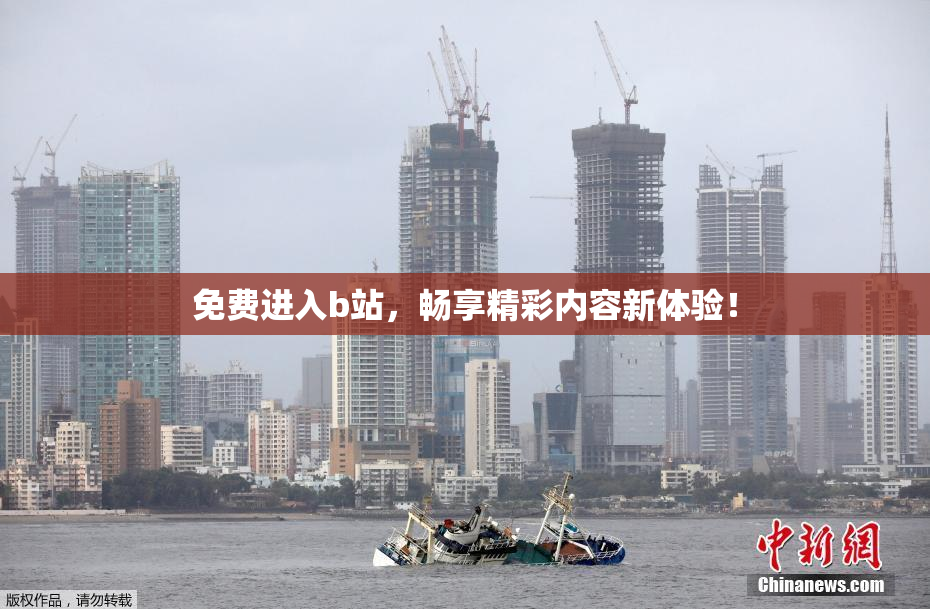 免费进入b站，畅享精彩内容新体验！